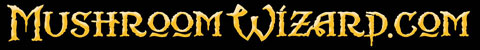 M_W_logo